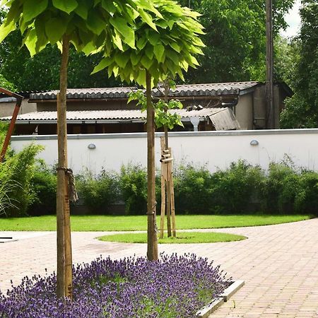 Villa Veda تسيهدينك المظهر الخارجي الصورة